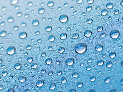 Bakterier, Parasitter og Svampe 
Legionella og Mycoplasma 

T. 3268 8600 
@ afdMI@ssi.dk 

Telefontid: 
Mandag-fredag kl. 8.00-15.00